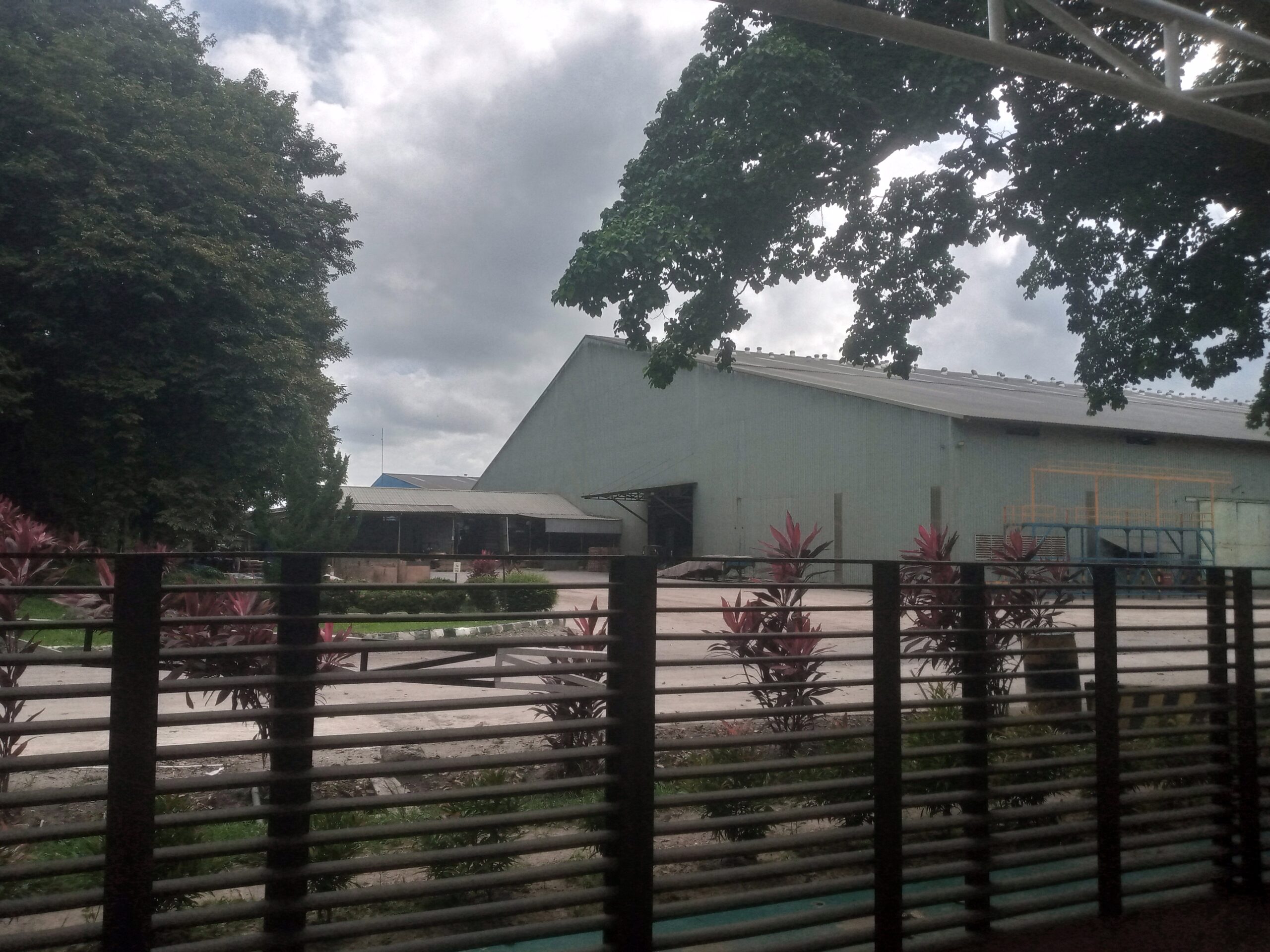 Gedung